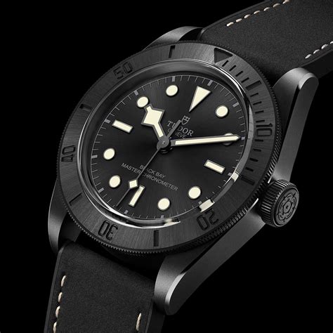 tudor caseback|tudor black bay ceramic.